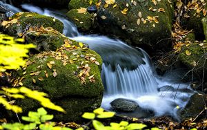 Превью обои водопад, ручей, камни, листья