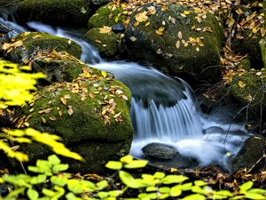 Превью обои водопад, ручей, камни, листья