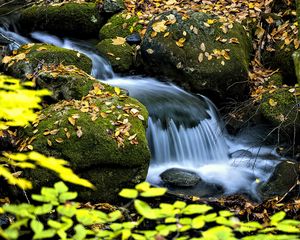 Превью обои водопад, ручей, камни, листья