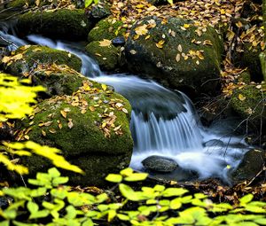 Превью обои водопад, ручей, камни, листья