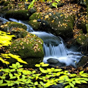 Превью обои водопад, ручей, камни, листья