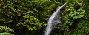 Превью обои водопад, ручей, камни, растения, трава