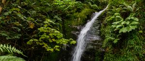 Превью обои водопад, ручей, камни, растения, трава