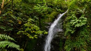 Превью обои водопад, ручей, камни, растения, трава