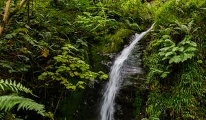 Превью обои водопад, ручей, камни, растения, трава