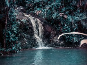 Превью обои водопад, ручей, лесной, джунгли, тропический, брызги, камни