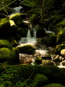 Превью обои водопад сен-николя, франция, водопад, камни, растения, пейзаж, природа