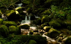 Превью обои водопад сен-николя, франция, водопад, камни, растения, пейзаж, природа