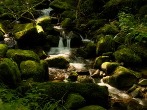 Превью обои водопад сен-николя, франция, водопад, камни, растения, пейзаж, природа