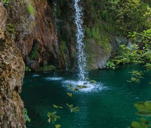 Превью обои водопад, скала, брызги, вода, растения