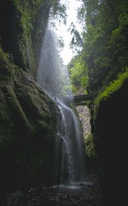 Превью обои водопад, скалы, деревья, растительность, лес