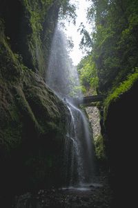 Превью обои водопад, скалы, деревья, растительность, лес