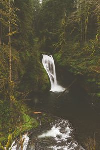 Превью обои водопад, скалы, камни, поток, мох, ветки