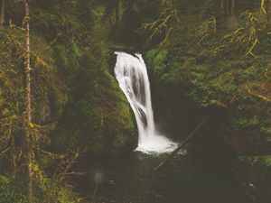 Превью обои водопад, скалы, камни, поток, мох, ветки