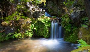 Превью обои водопад, скалы, растительность, невинность