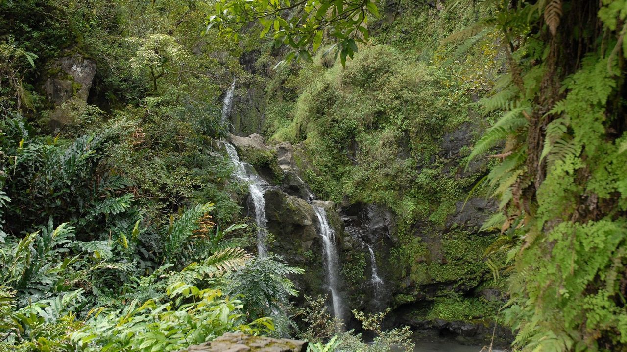 Обои водопад, скалы, растительность, папоротник, джунгли
