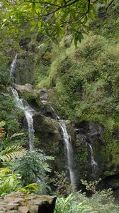 Превью обои водопад, скалы, растительность, папоротник, джунгли