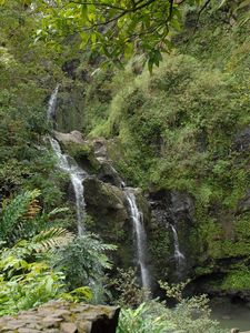 Превью обои водопад, скалы, растительность, папоротник, джунгли