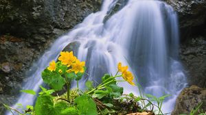 Превью обои водопад, скалы, цветок