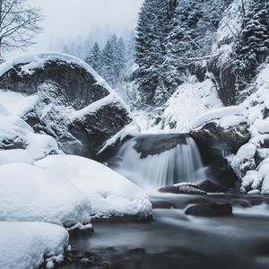 Превью обои водопад, снег, зима, деревья, течение