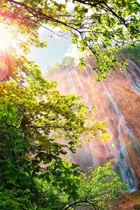 Превью обои водопад, солнце, блики, кусты, деревья