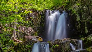 Превью обои водопад, течение, камни, коряга