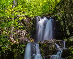 Превью обои водопад, течение, камни, коряга