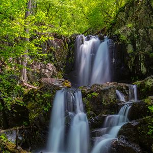 Превью обои водопад, течение, камни, коряга