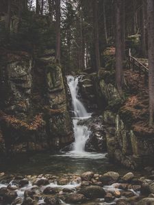 Превью обои водопад, течение, лес, деревья, камни