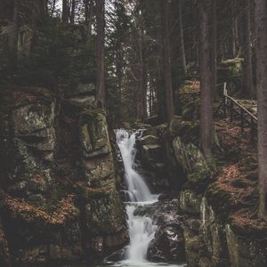 Превью обои водопад, течение, лес, деревья, камни