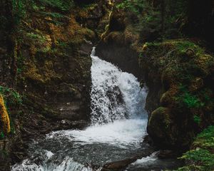 Превью обои водопад, течение, поток, деревья