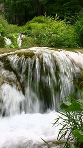 Превью обои водопад, течение, растительность, лопухи