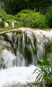 Превью обои водопад, течение, растительность, лопухи