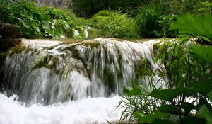 Превью обои водопад, течение, растительность, лопухи