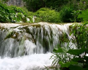 Превью обои водопад, течение, растительность, лопухи