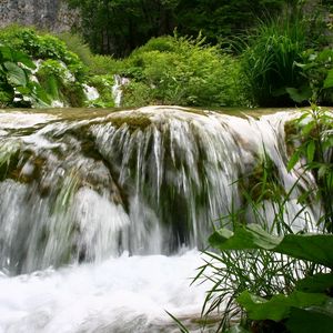 Превью обои водопад, течение, растительность, лопухи