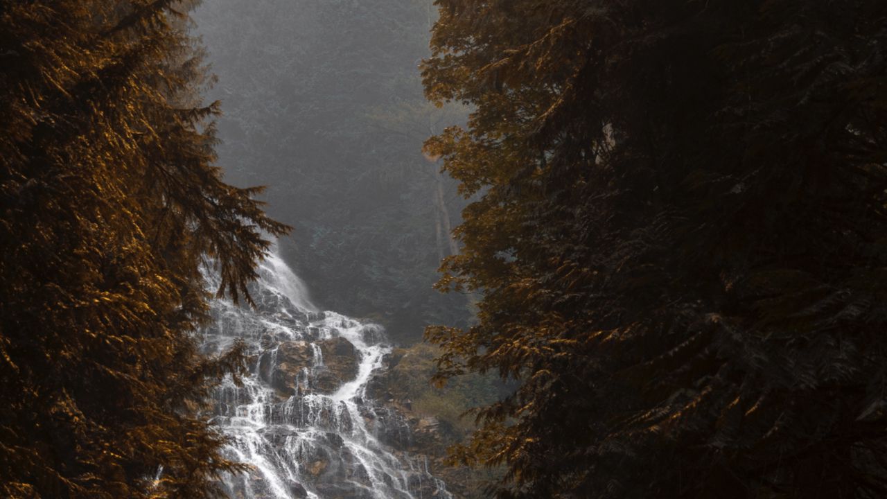 Обои водопад, течение, туман, ветки, деревья