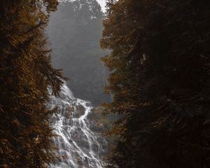 Превью обои водопад, течение, туман, ветки, деревья