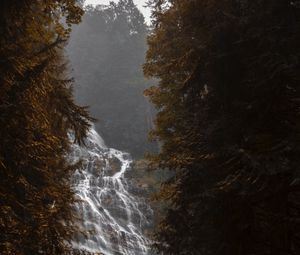 Превью обои водопад, течение, туман, ветки, деревья