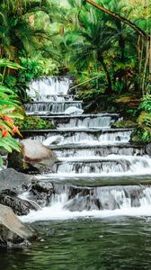 Превью обои водопад, тропический, камни, листья, растения, поток