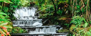 Превью обои водопад, тропический, камни, листья, растения, поток