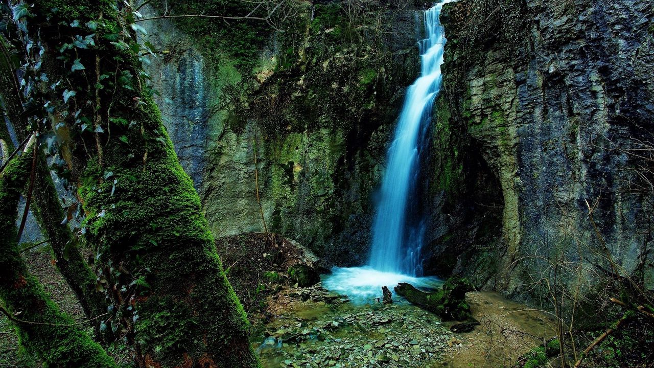 Обои водопад, ущелье, скалы, мох, зеленый, наросты, дерево, камни