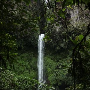 Превью обои водопад, ветки, деревья, скалы