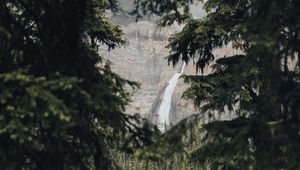 Превью обои водопад, ветки, ель, скалы, деревья