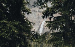 Превью обои водопад, ветки, ель, скалы, деревья