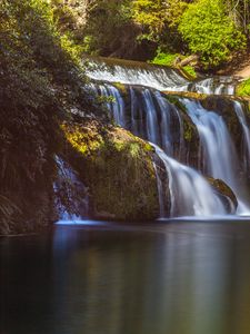 Превью обои водопад, ветки, поток