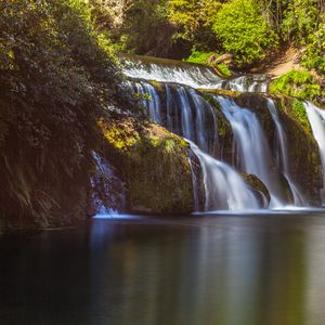 Превью обои водопад, ветки, поток