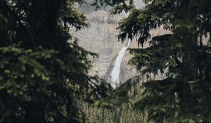 Превью обои водопад, ветки, скала, ель