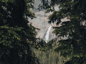 Превью обои водопад, ветки, скала, ель