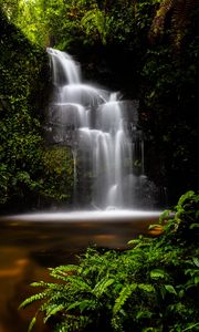 Превью обои водопад, вода, джунгли, растительность, природа